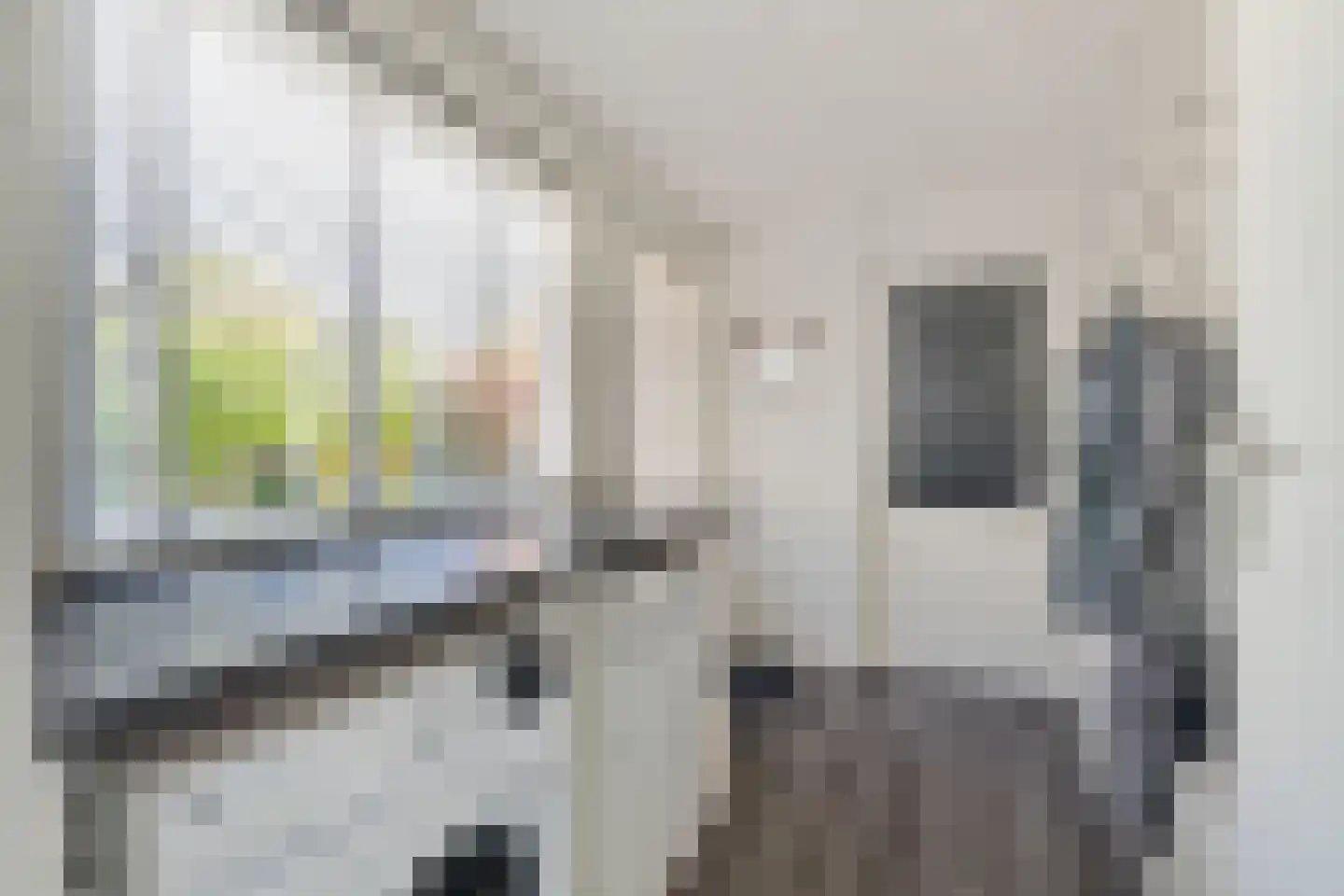 Boliviastraat 5 Alphen aan den Rijn thumbnail 23