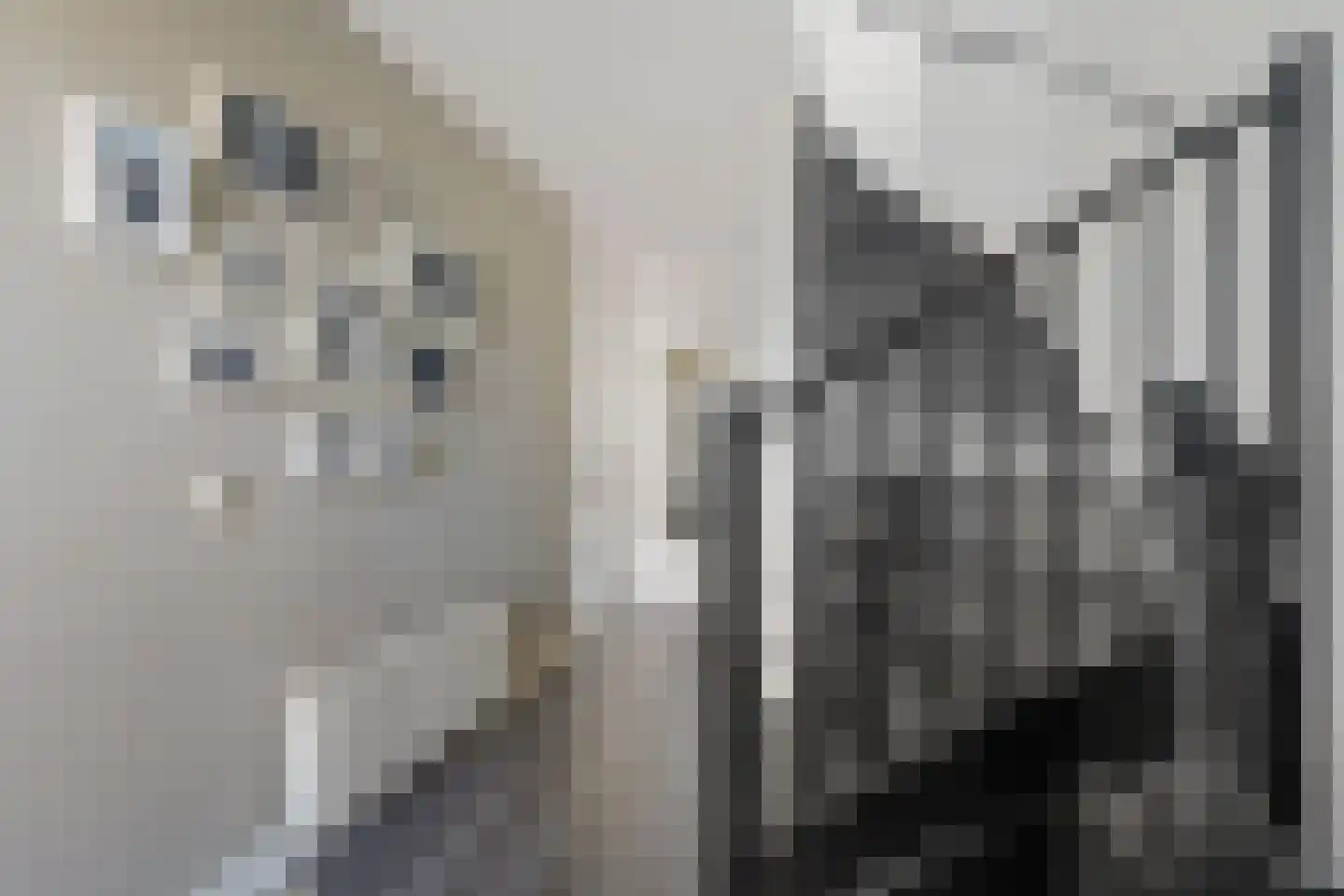 Boliviastraat 5 Alphen aan den Rijn thumbnail 6