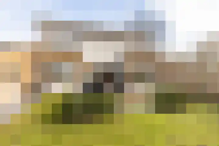 Bolkafstraat 11 's-Gravendeel thumbnail 4
