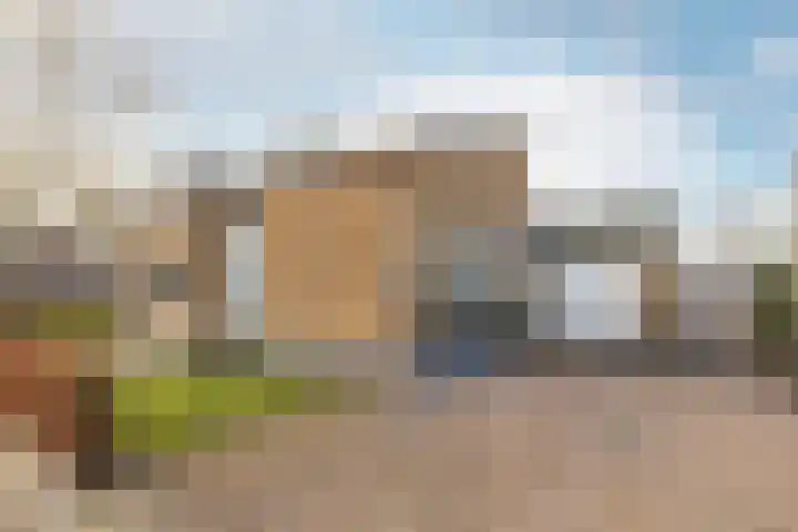 Bolkafstraat 11 's-Gravendeel thumbnail 45