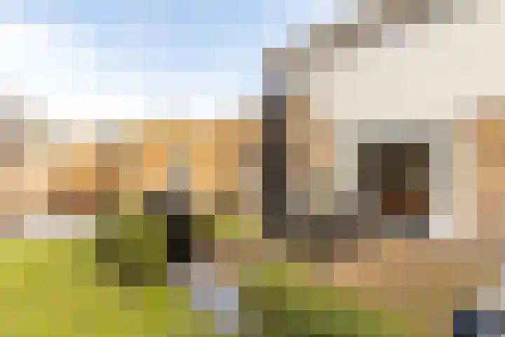 Bolkafstraat 11 's-Gravendeel thumbnail 5