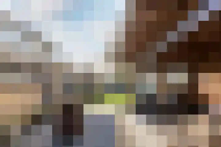 Bolkafstraat 11 's-Gravendeel thumbnail 50