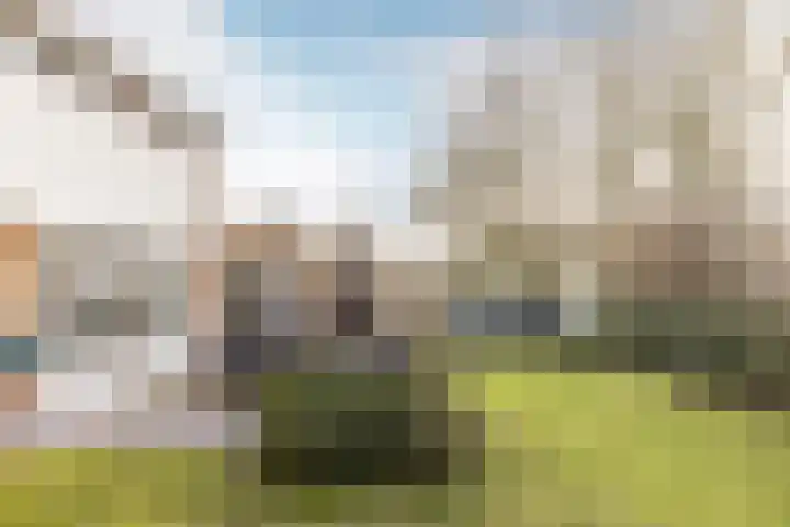 Bolkafstraat 11 's-Gravendeel thumbnail 8