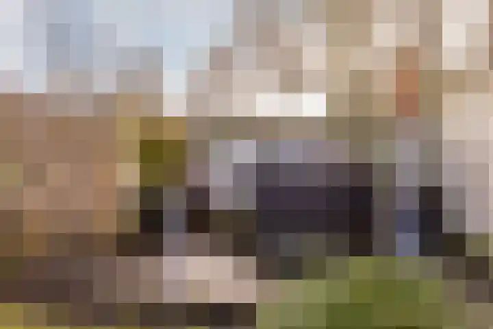 Bolkafstraat 11 's-Gravendeel thumbnail 9