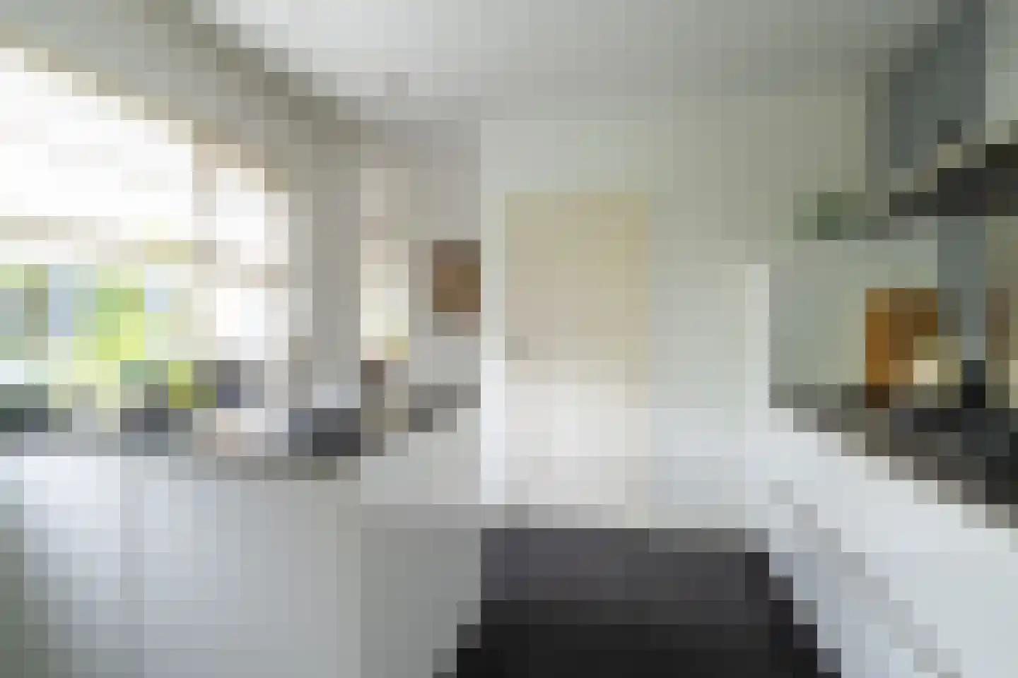 Bolkensteeg 40 Dongen thumbnail 13