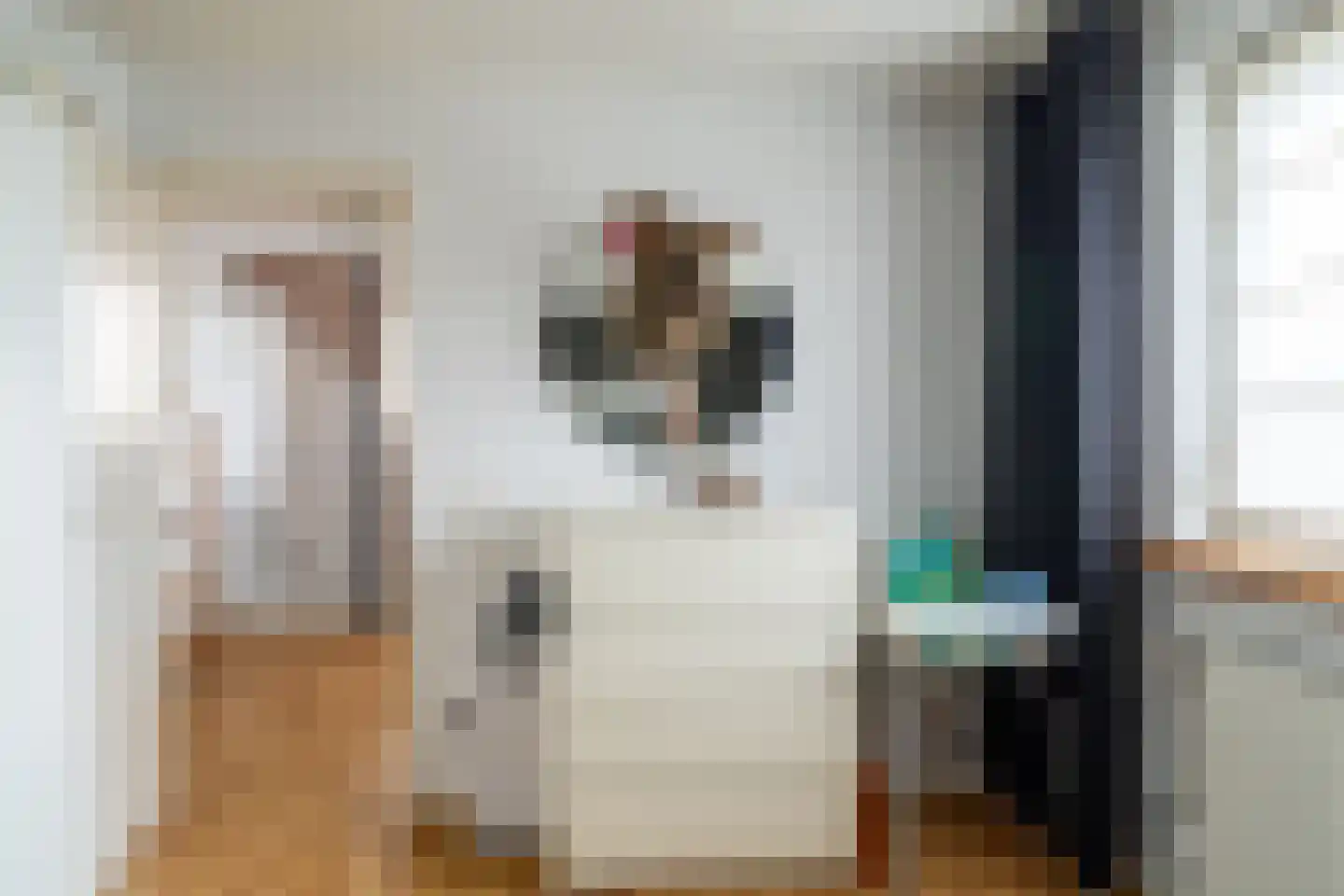 Bolkensteeg 40 Dongen thumbnail 20