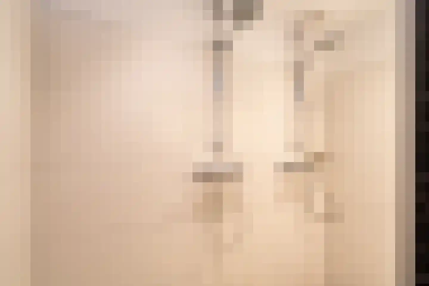 Bolkensteeg 40 Dongen thumbnail 25