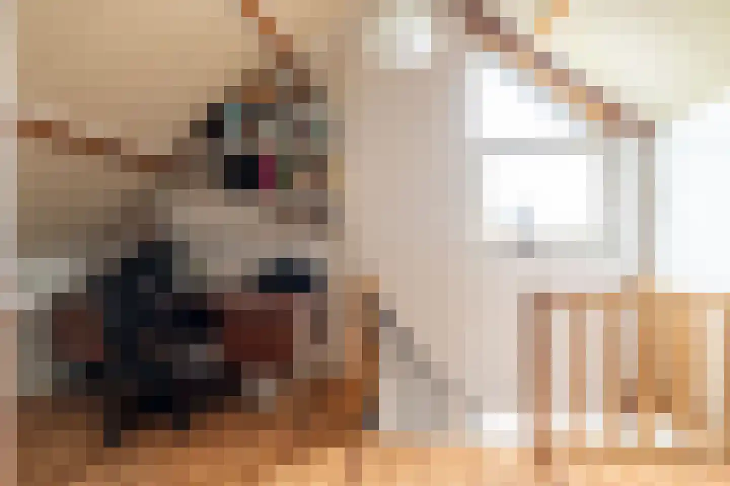 Bolkensteeg 40 Dongen thumbnail 27