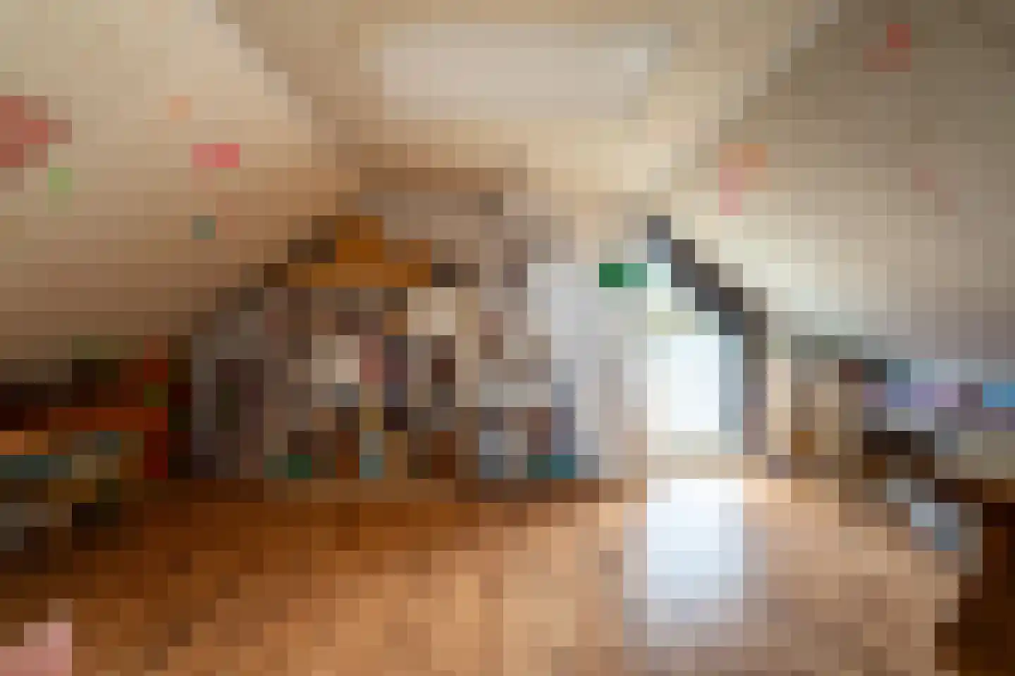 Bolkensteeg 40 Dongen thumbnail 29