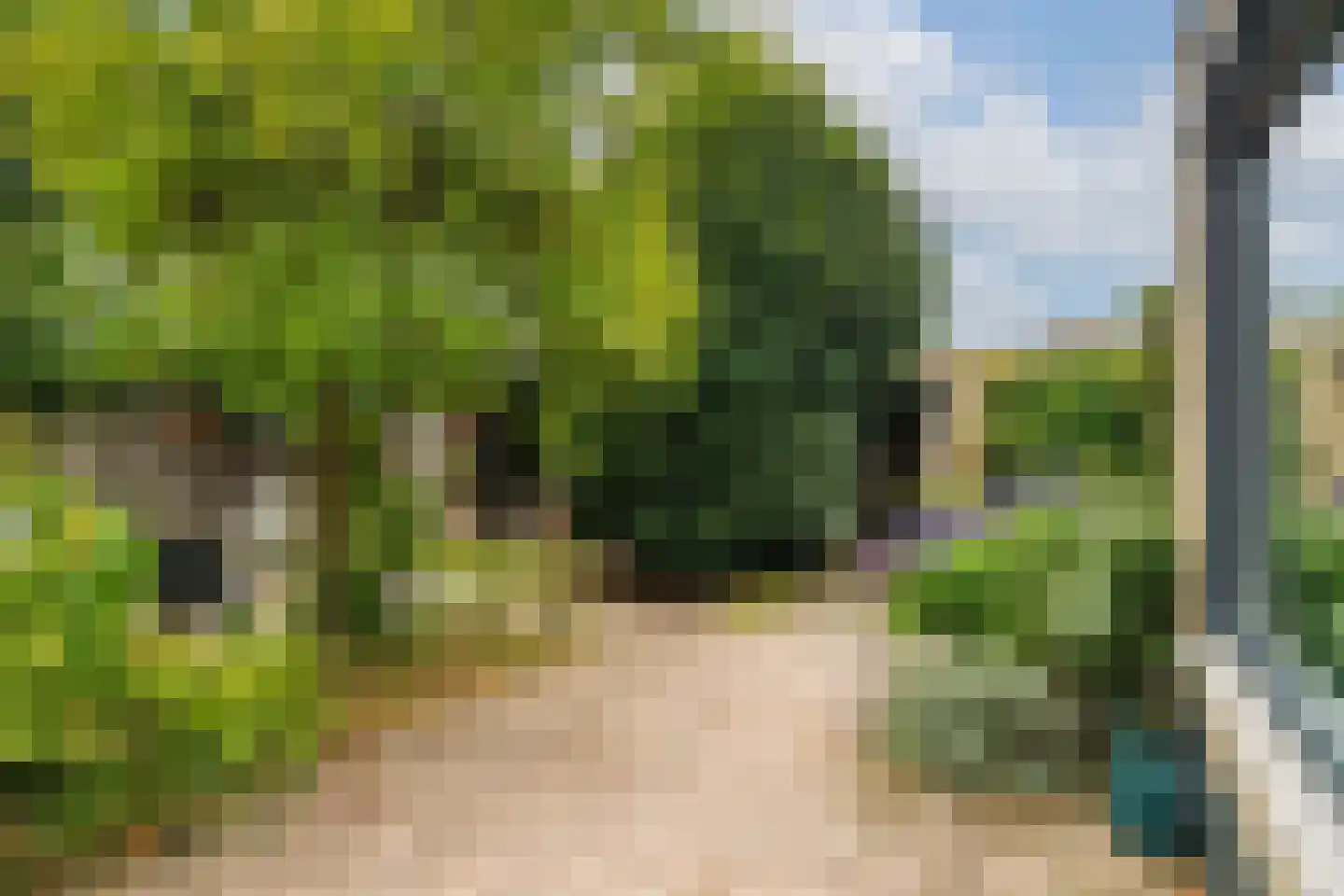 Bolkensteeg 40 Dongen thumbnail 32