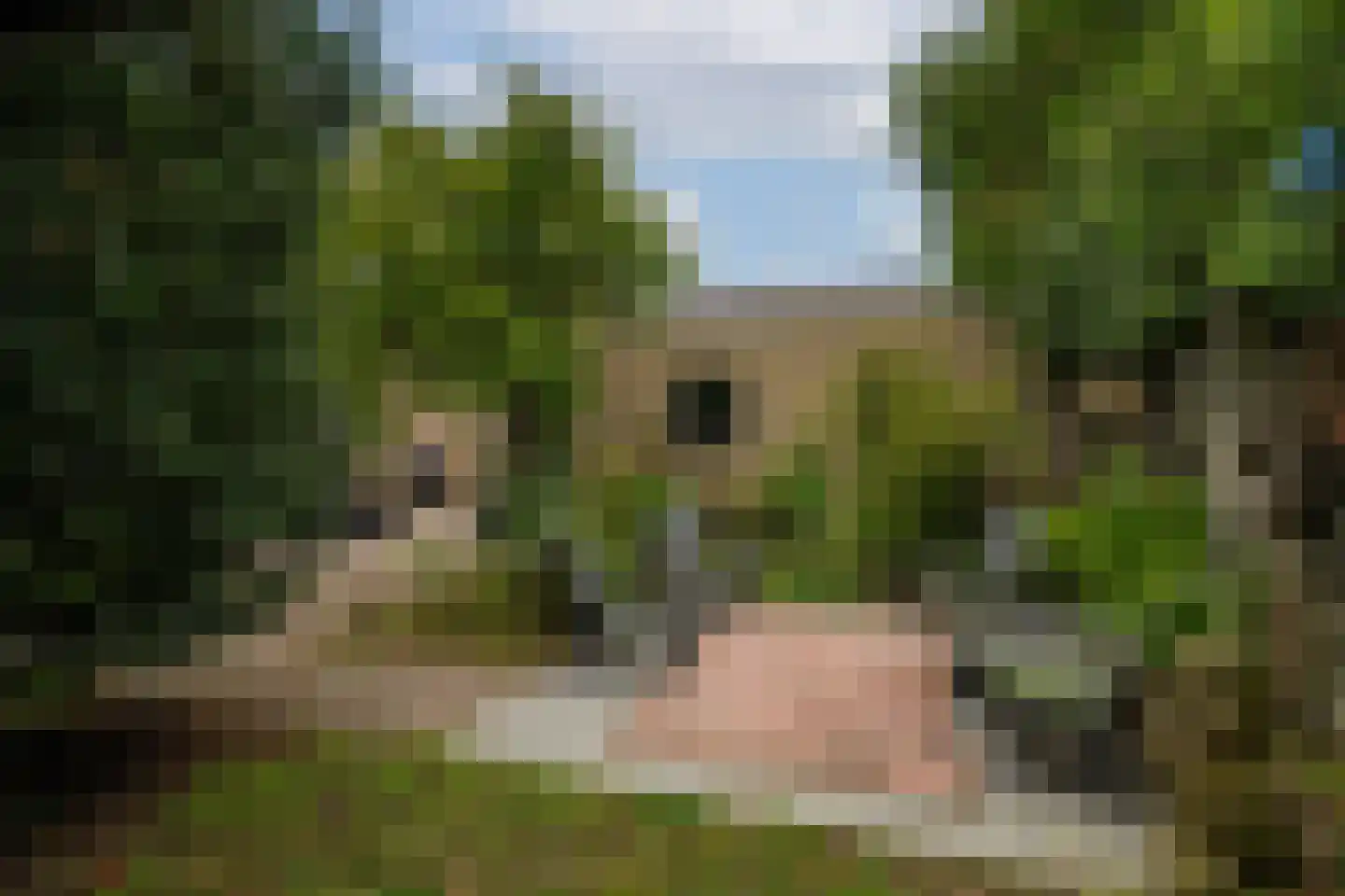 Bolkensteeg 40 Dongen thumbnail 37