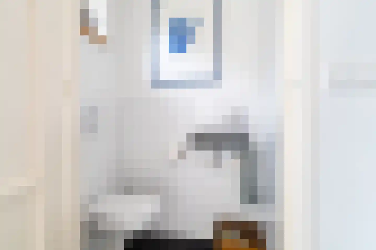 Bolkensteeg 40 Dongen thumbnail 7