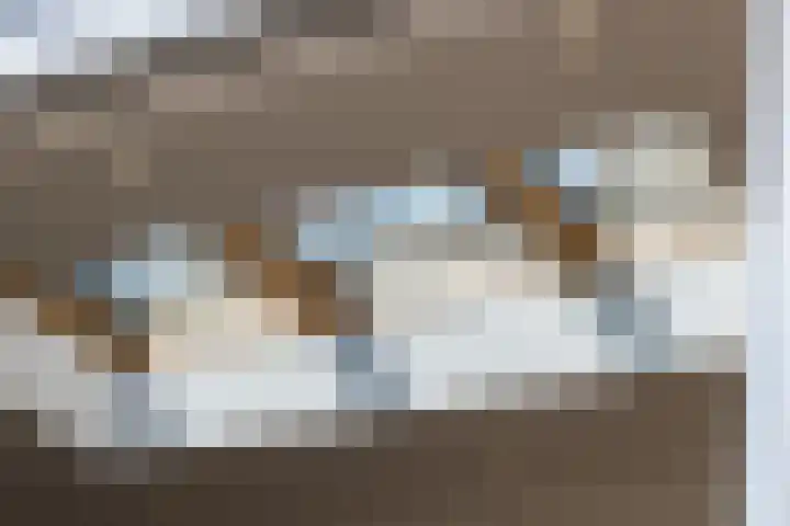 Bolkruid 10 Rotterdam thumbnail 10