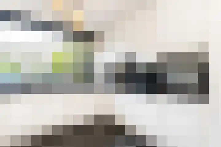 Bolkruid 10 Rotterdam thumbnail 13