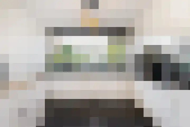 Bolkruid 10 Rotterdam thumbnail 14