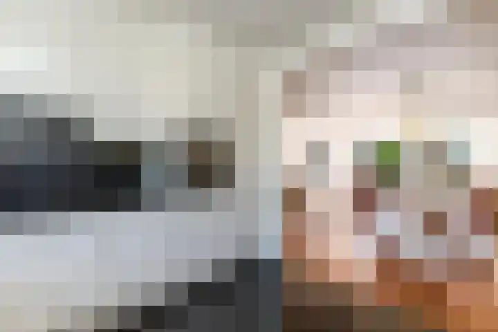 Bolkruid 10 Rotterdam thumbnail 17