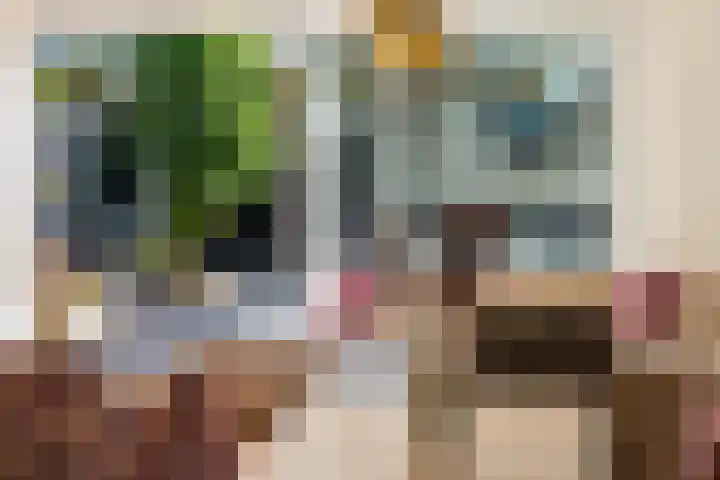 Bolkruid 10 Rotterdam thumbnail 18