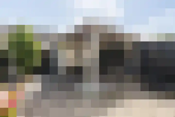 Bolkruid 10 Rotterdam thumbnail 20