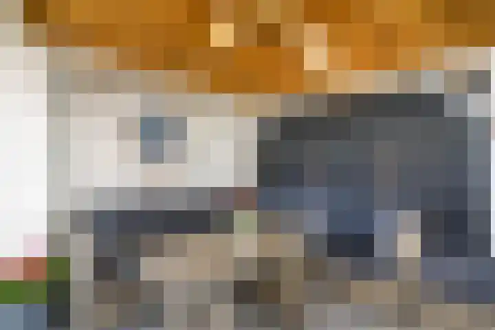 Bolkruid 10 Rotterdam thumbnail 22