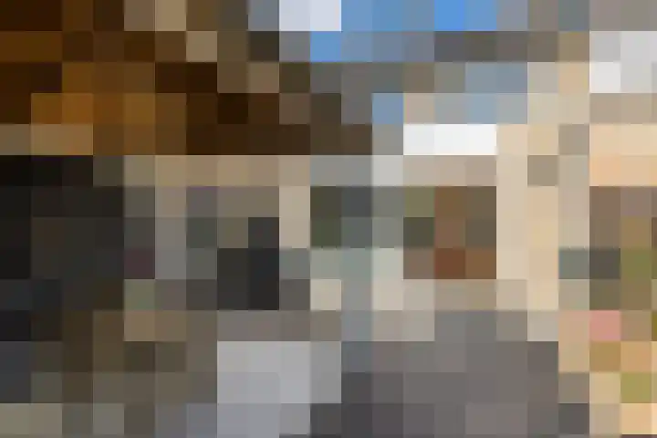 Bolkruid 10 Rotterdam thumbnail 23