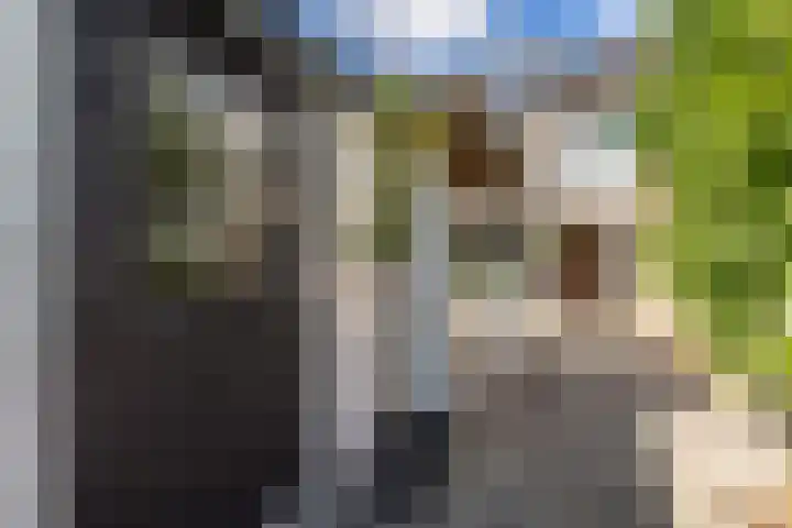 Bolkruid 10 Rotterdam thumbnail 25