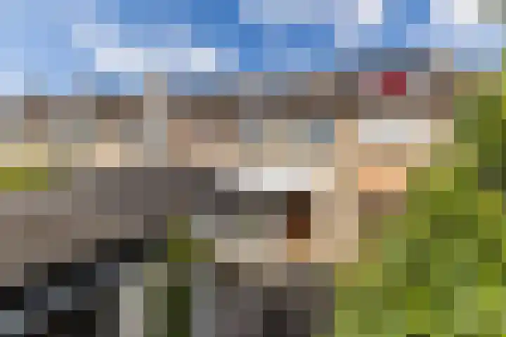 Bolkruid 10 Rotterdam thumbnail 26