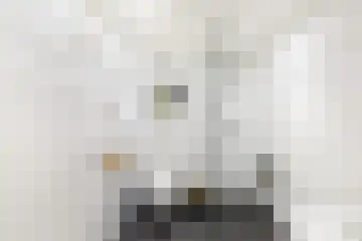 Bolkruid 10 Rotterdam thumbnail 34