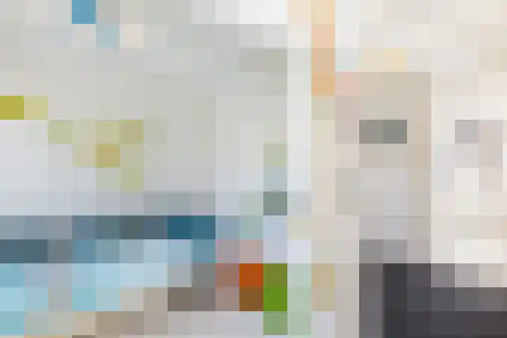 Bolkruid 10 Rotterdam thumbnail 35