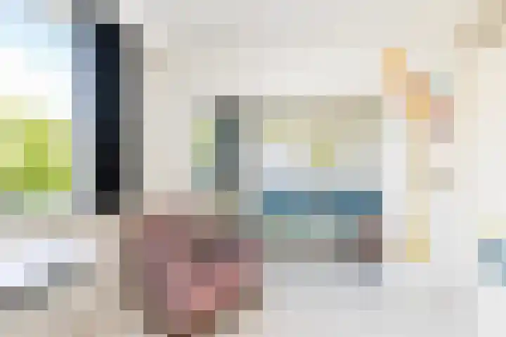 Bolkruid 10 Rotterdam thumbnail 36
