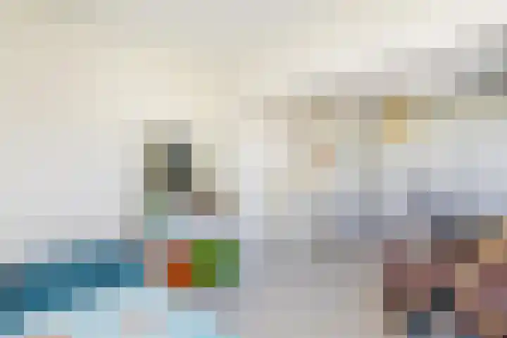 Bolkruid 10 Rotterdam thumbnail 37