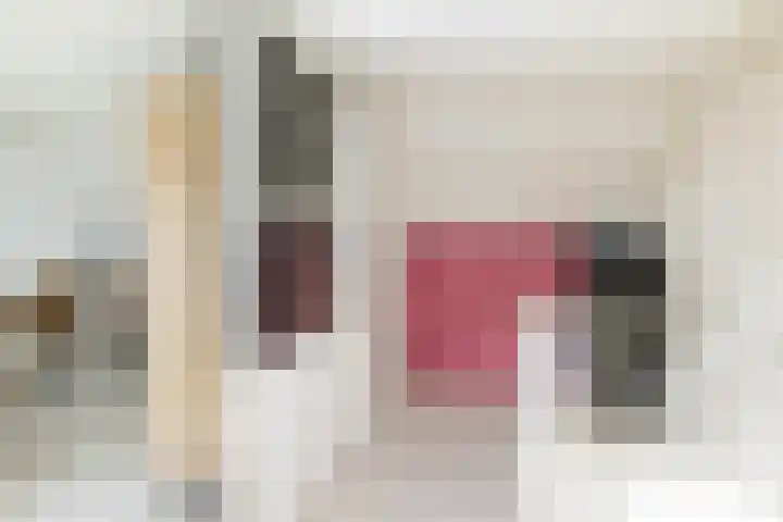 Bolkruid 10 Rotterdam thumbnail 38