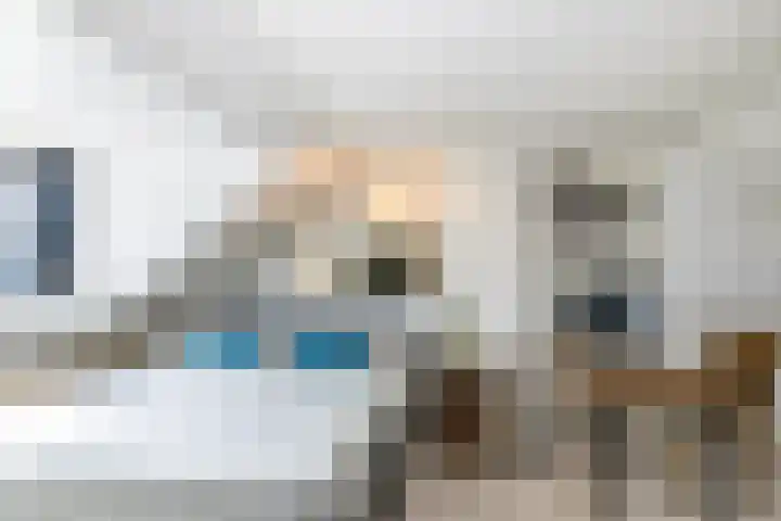 Bolkruid 10 Rotterdam thumbnail 39