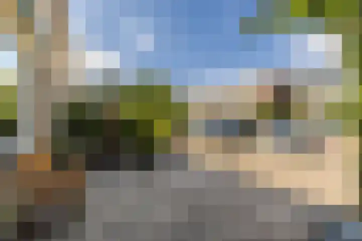 Bolkruid 10 Rotterdam thumbnail 45