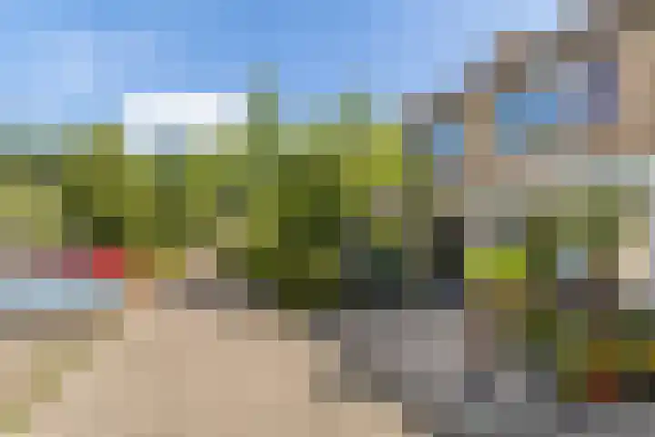 Bolkruid 10 Rotterdam thumbnail 48