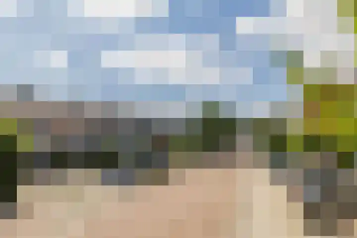 Bolkruid 10 Rotterdam thumbnail 52