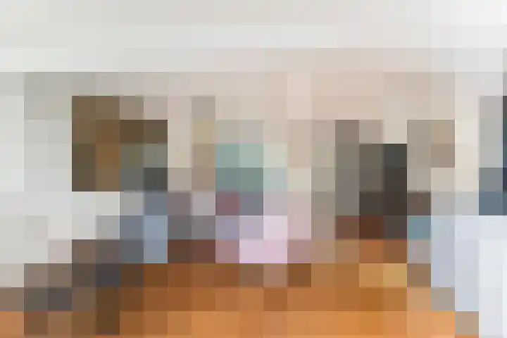 Bolkruid 10 Rotterdam thumbnail 6