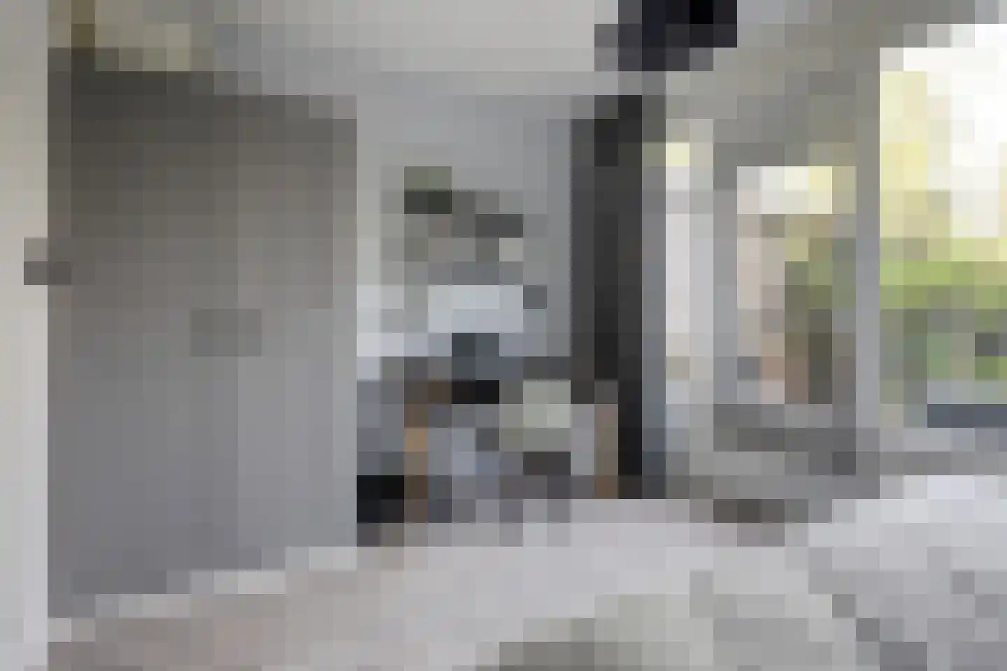 Bolkruid 155 Rotterdam thumbnail 10