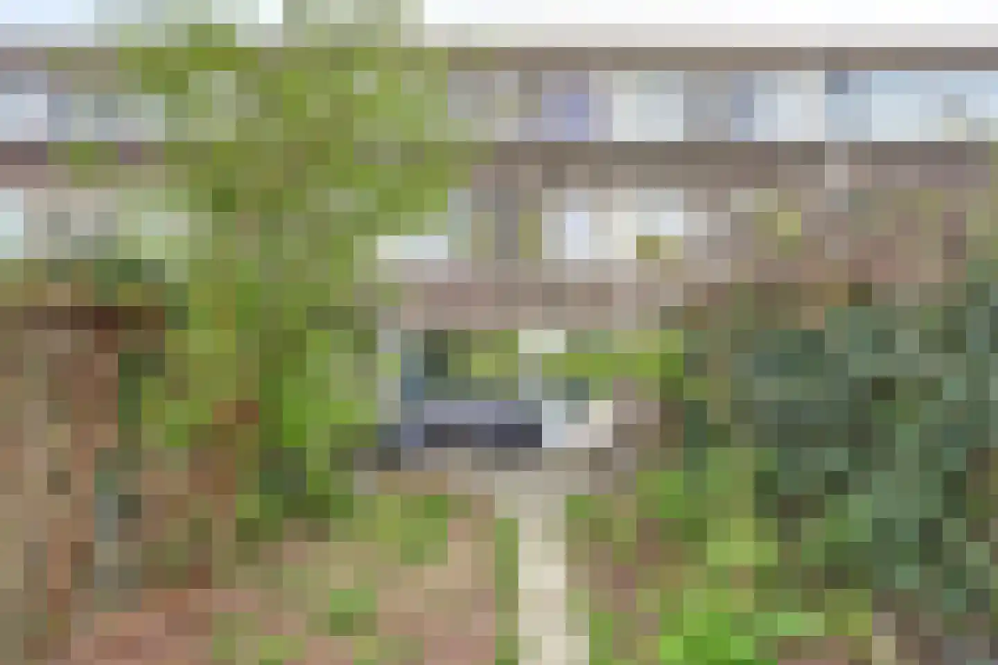 Bolkruid 155 Rotterdam thumbnail 12