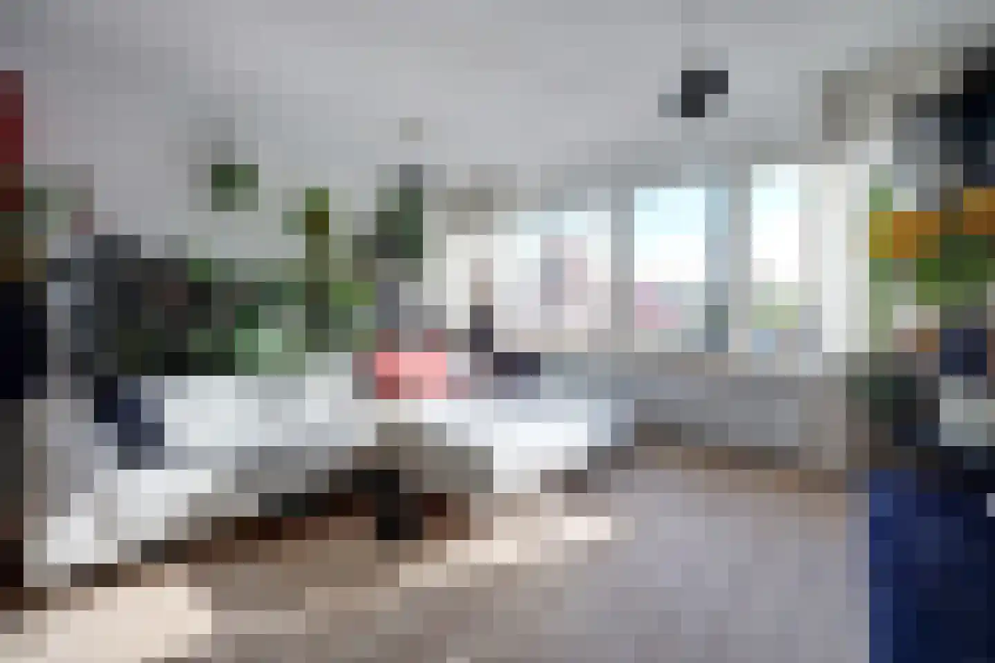 Bolkruid 155 Rotterdam thumbnail 13