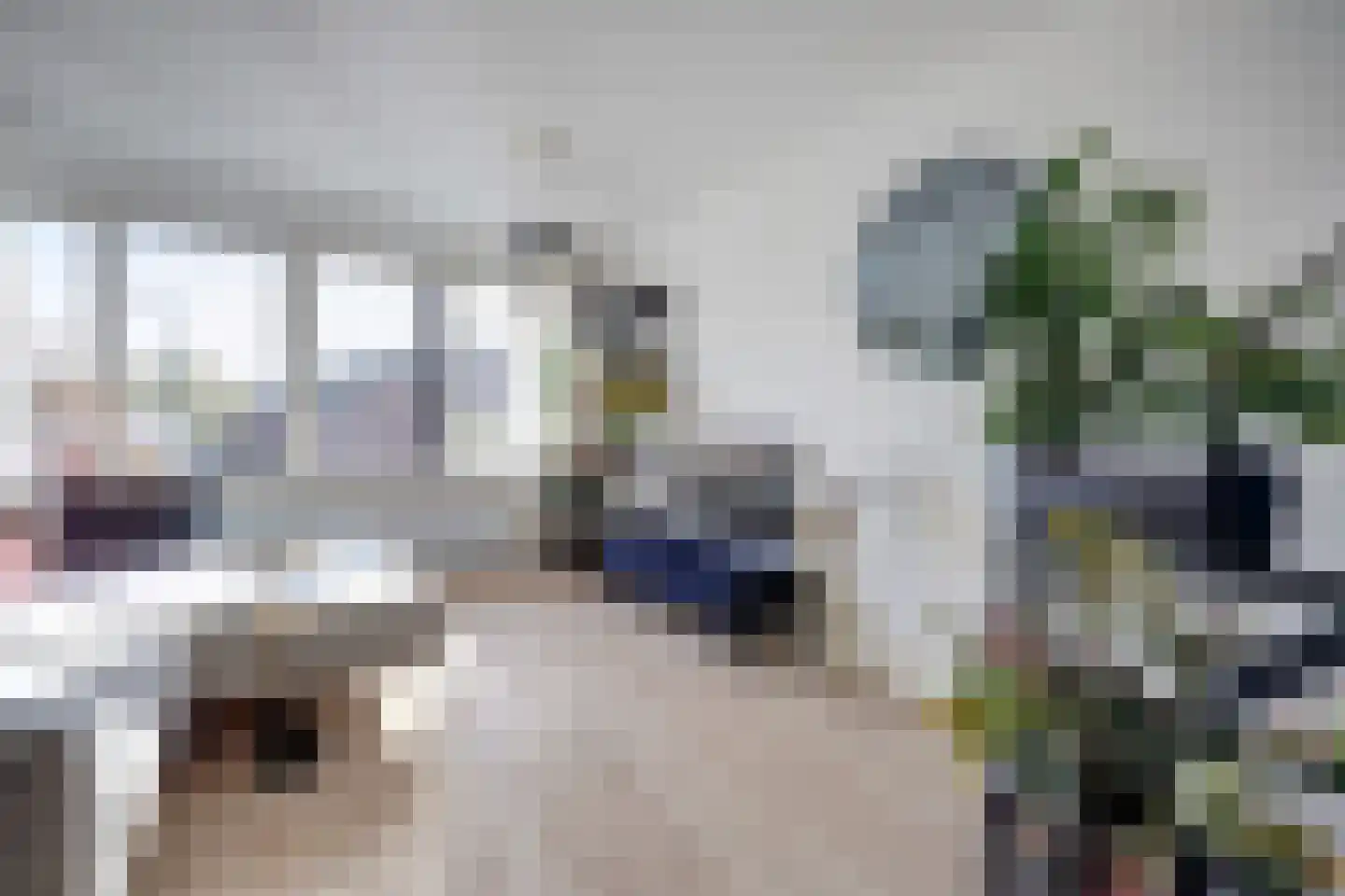 Bolkruid 155 Rotterdam thumbnail 14