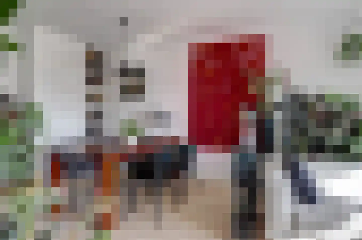 Bolkruid 155 Rotterdam thumbnail 17