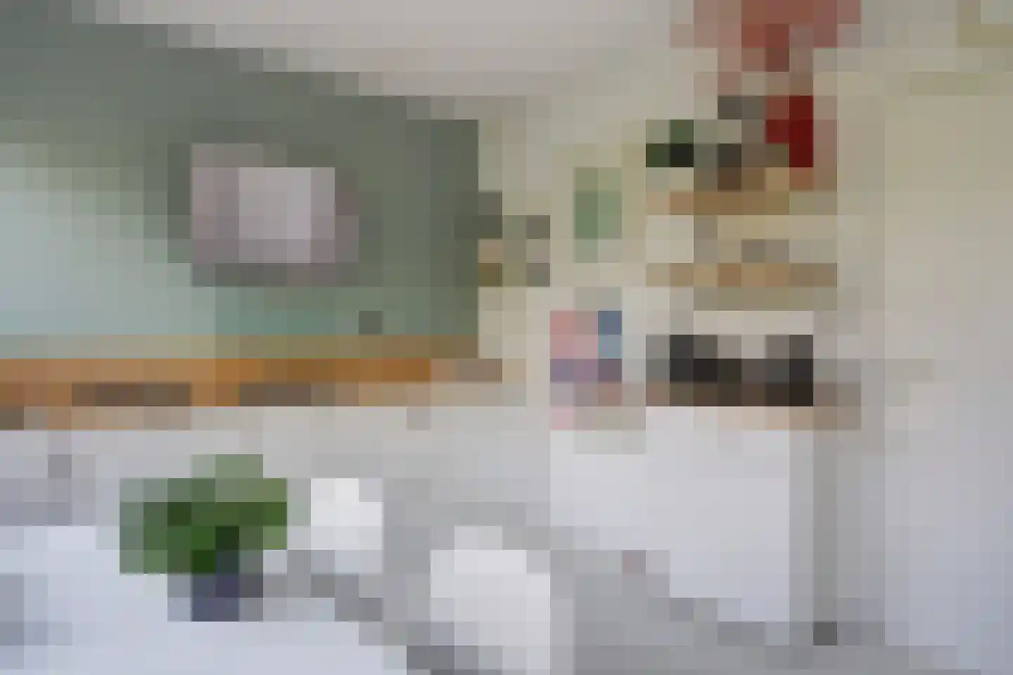 Bolkruid 155 Rotterdam thumbnail 21