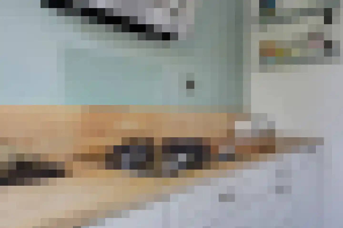 Bolkruid 155 Rotterdam thumbnail 22