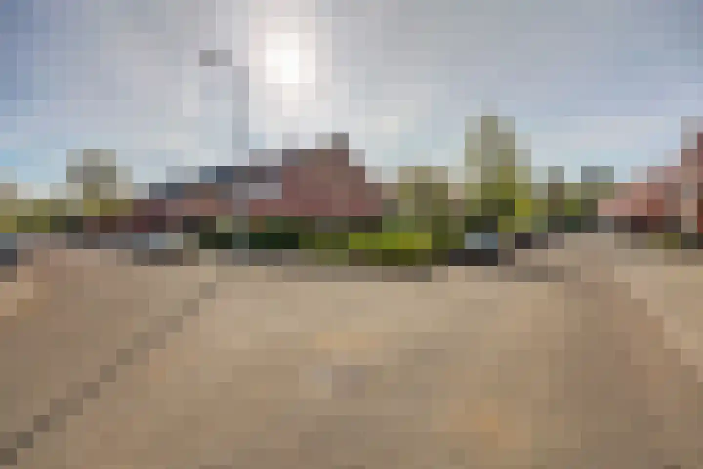 Bolkruid 155 Rotterdam thumbnail 37