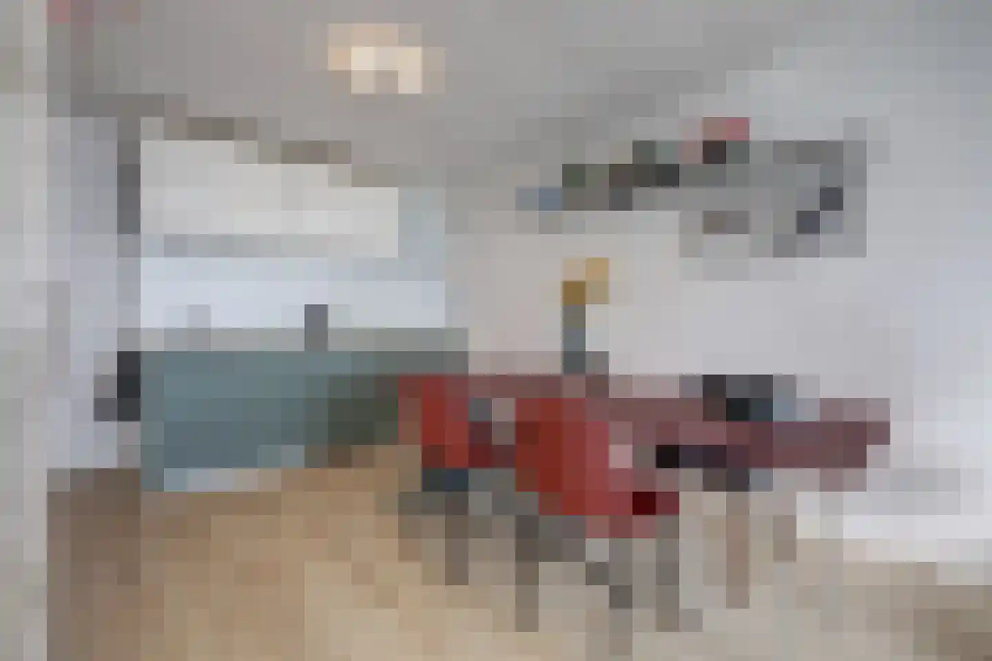 Bolkruid 155 Rotterdam thumbnail 5