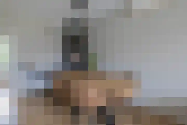 Bolkruid 171 Rotterdam thumbnail 14