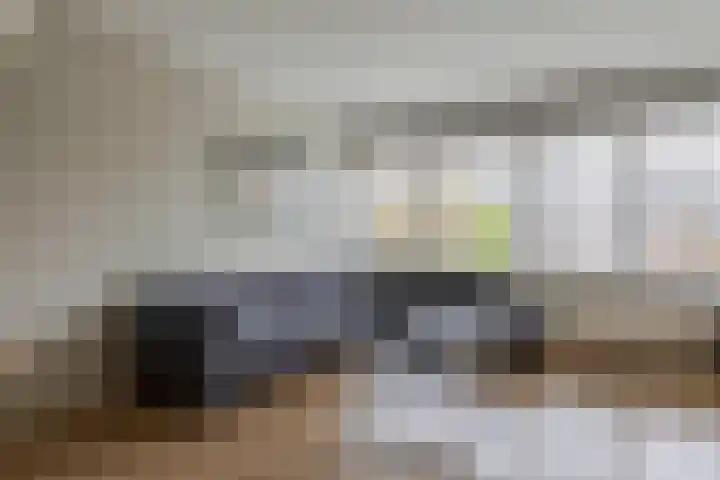 Bolkruid 171 Rotterdam thumbnail 16