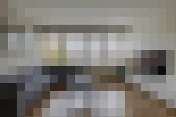 Bolkruid 171 Rotterdam thumbnail 17