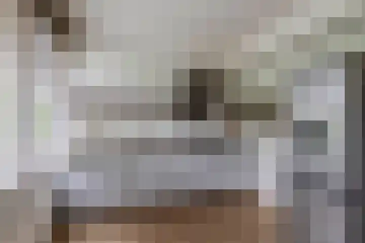 Bolkruid 171 Rotterdam thumbnail 21