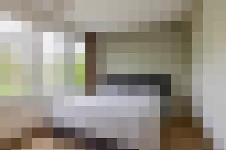 Bolkruid 171 Rotterdam thumbnail 23